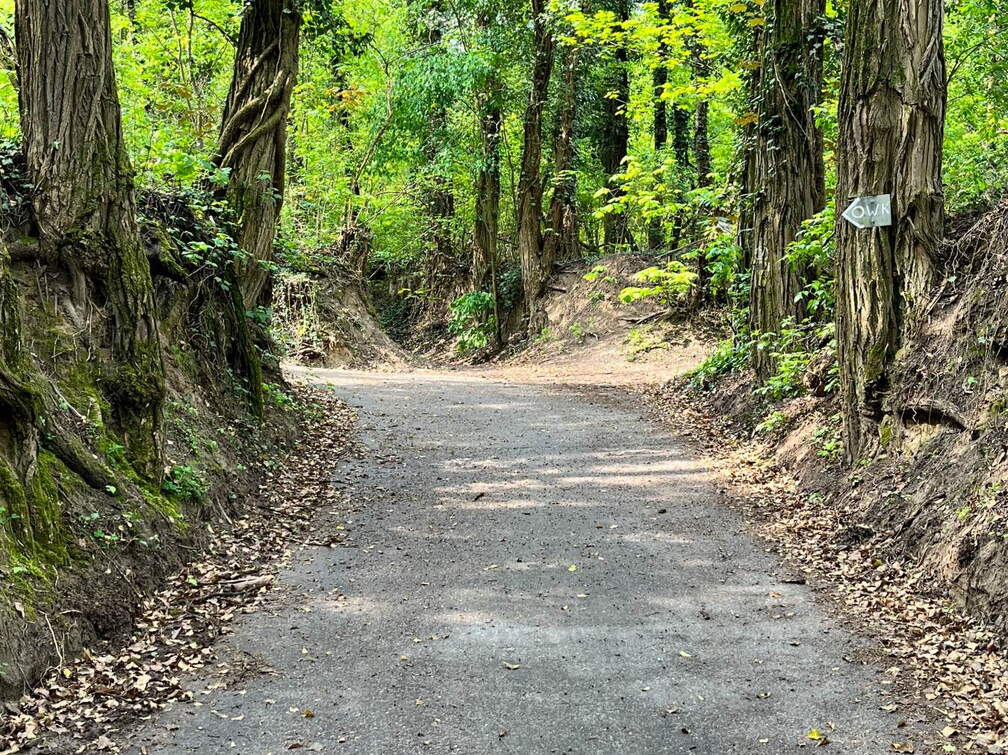 22-04-25 11-19-47 0615